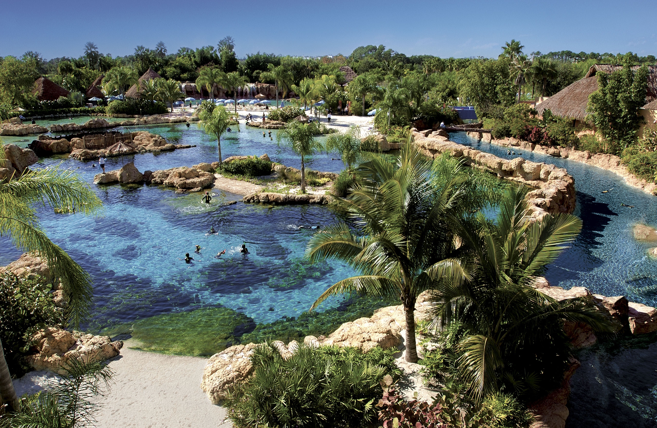 Discover-Cove-1