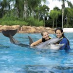 Nose-to-Bottlenose