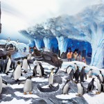 Penguin-habitat