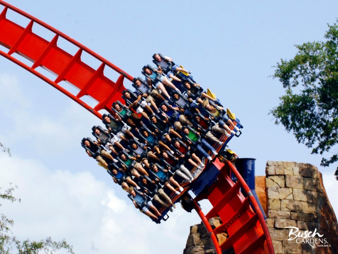 In 2005, Busch Gardens Africa introduced the world to a one-of-a-kind experience: 200 feet up, 90 degrees straight down. And that was just the beginning. On June 16, the adventure park will reintroduce SheiKra to the world with a new twist: floorless cars that allow riders an unobstructed view and a new level of adrenaline rush. The cars will continue to seat eight passengers across, three rows deep, but riders will no longer be able to brace themselves for the thrill of Americas first dive coaster. SheiKra is the tallest roller coaster in Florida, and the first of its kind to incorporate an Immelmann loop, a second, 138-foot dive into an underground tunnel and a water-feature finale. SheiKra offers three minutes of over-the-edge excitement on more than half a mile of steel track and serves as the centerpiece of Busch Gardens Stanleyville area.