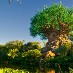 animal-kingdom-gallery22