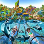 aquatica