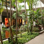Bal Harbour, interior luxury retail, tropical fish pond