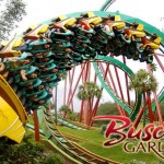 busch