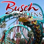 bush garden