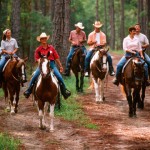 cabins-at-fort-wilderness-resort-gallery03