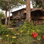 campsites-at-fort-wilderness-resort-gallery06