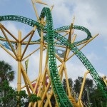 cheetah-hunt-hQzS