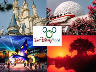 disney 22