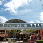 dolphin-mall 22