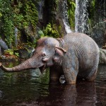 jungle-cruise-00