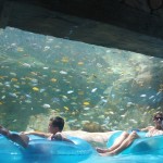 lazy river