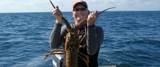 LobsterMan-600×253