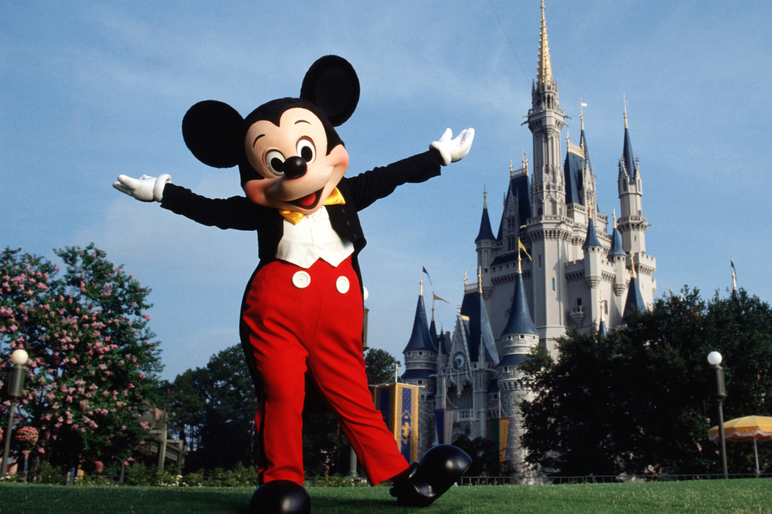 Walt Disney World Gallery Photo