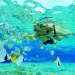 mergulho-ilhas-agua-transparente