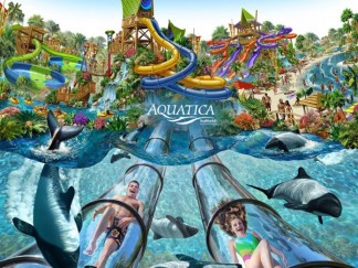 Aquatica-Waterpark-Orlando