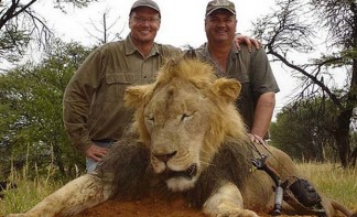 Cecil 1