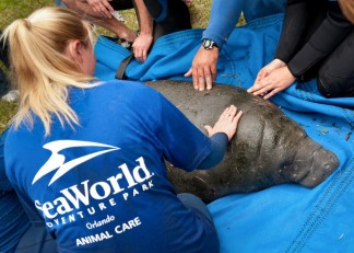 Global_Leaders_in_Animal_Rescue_and_Rehabilitation
