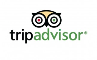 tripadvisor-logo-vector