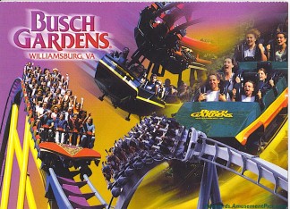 Busch