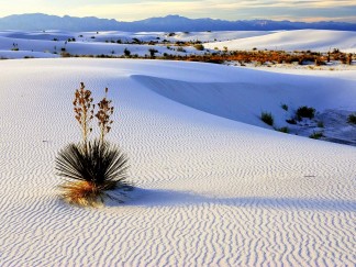White Sands National Monument1