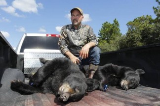 bears