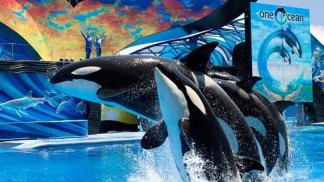 Seaworld