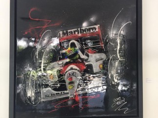 carro  Senna
