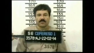 Traficante 3