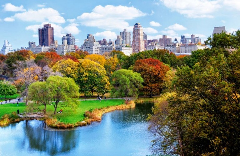 Nova York