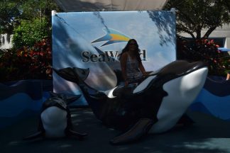 Val SeaWorld Orca