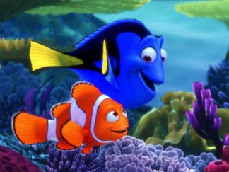 dory-original