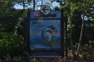 orca 1.0