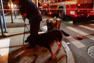 policia-de-ny-usa-caes-para-procurar-bombas