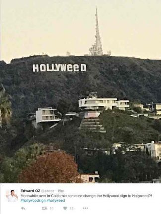 hollyweed2