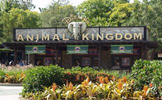 Animal-kingdom