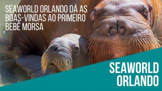SeaWorld