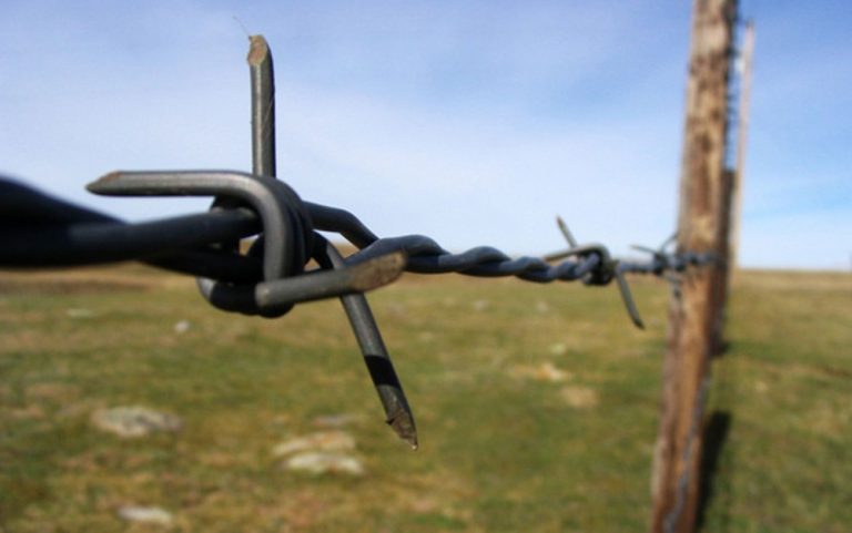 Como o arame farpado transformou o Velho Oeste dos EUA