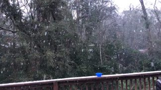 tallahassee
